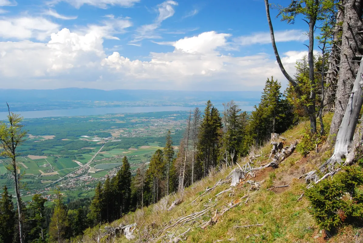 Panorama sur le Léman depuis le signal des Voirons